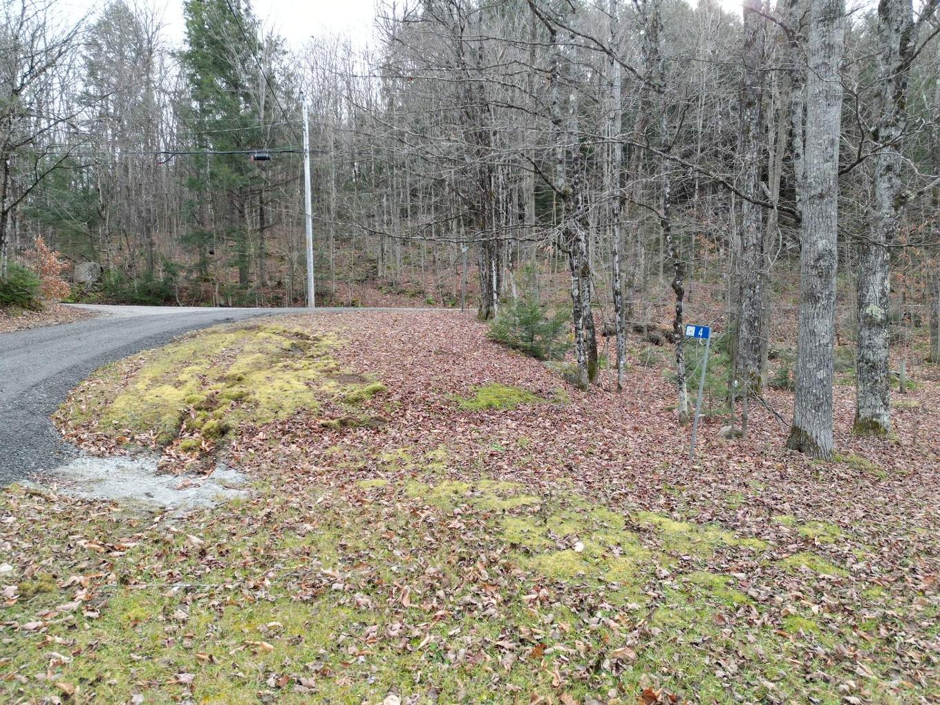 Land/Lot - 4 Ch. M.-Cousineau, Val-Des-Monts, QC