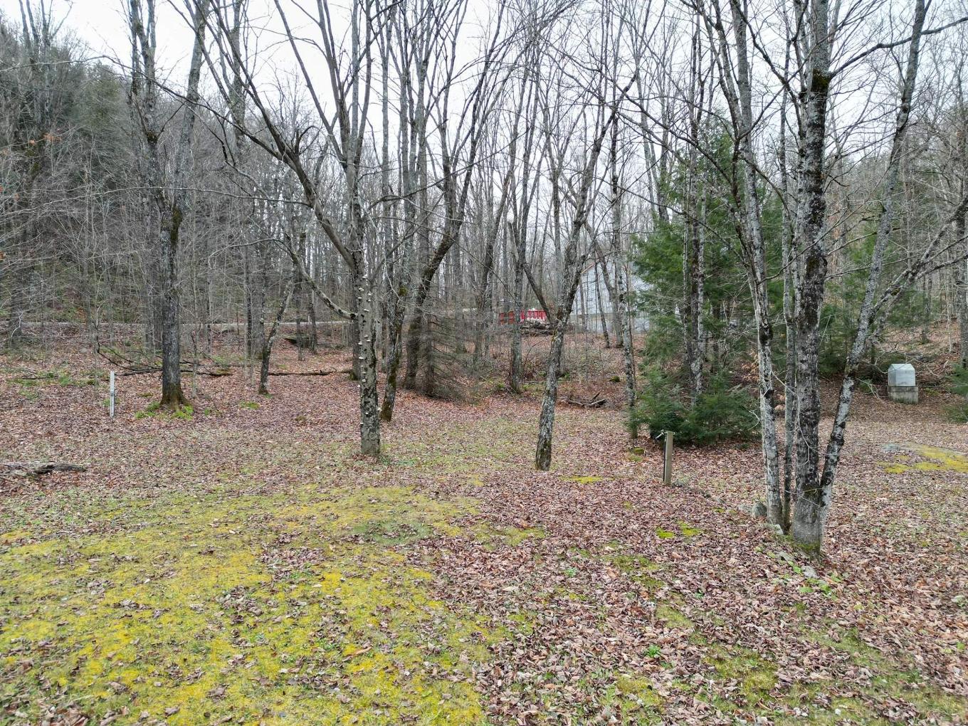 Land/Lot - 4 Ch. M.-Cousineau, Val-Des-Monts, QC