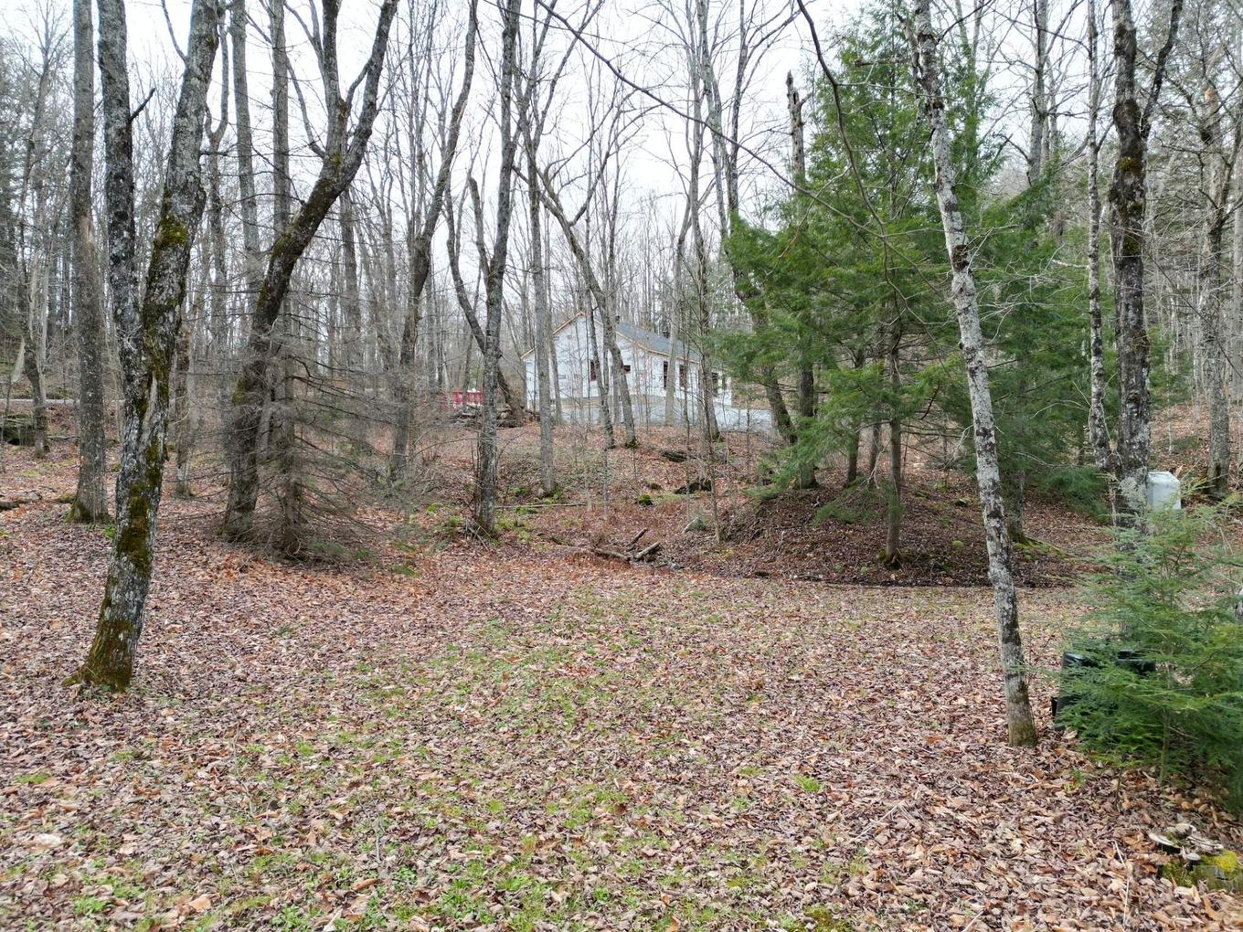 Land/Lot - 4 Ch. M.-Cousineau, Val-Des-Monts, QC