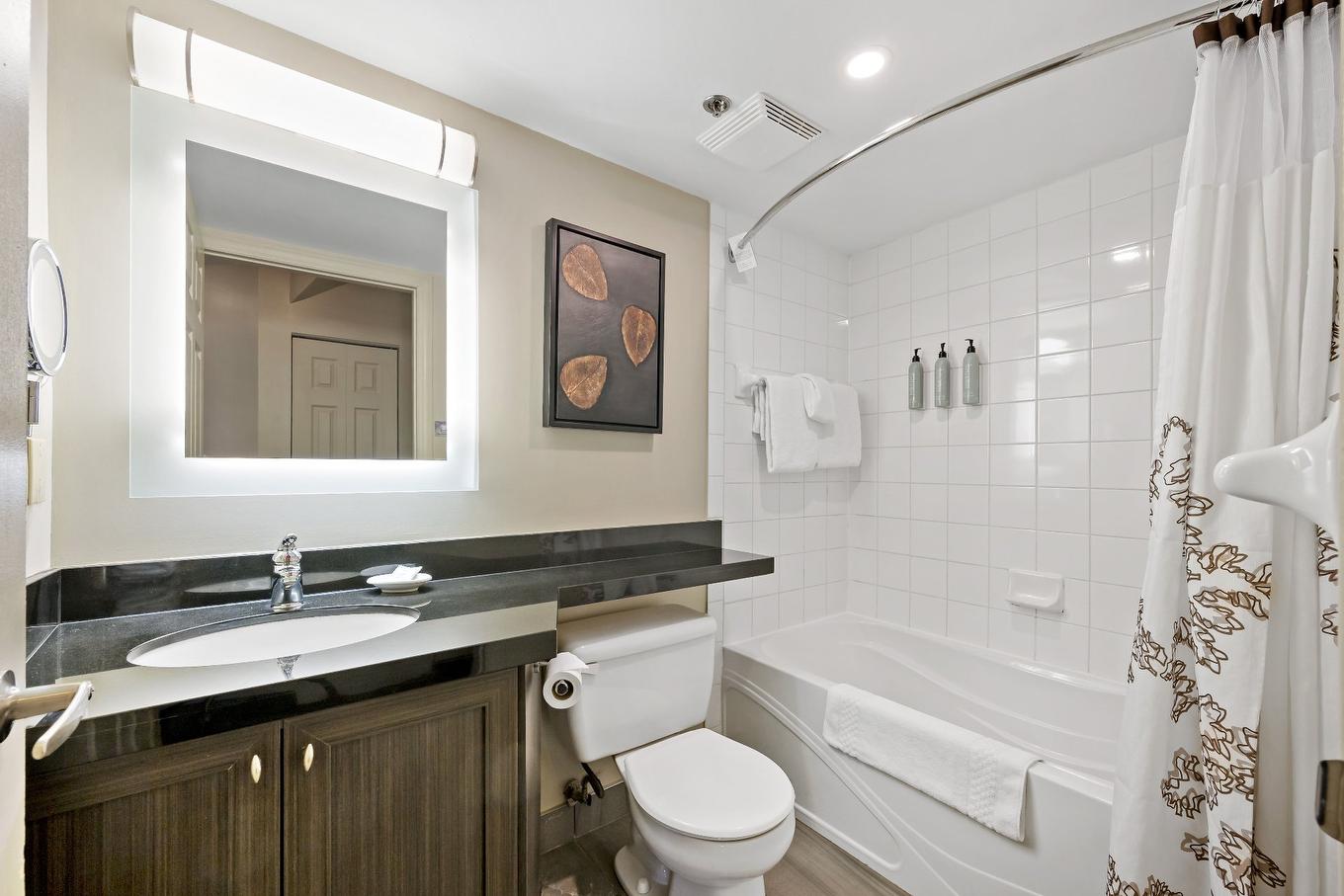 Bathroom - 341-170 Ch. Du Curé-Deslauriers, Mont-Tremblant, QC - Indoor Photo Showing Bathroom