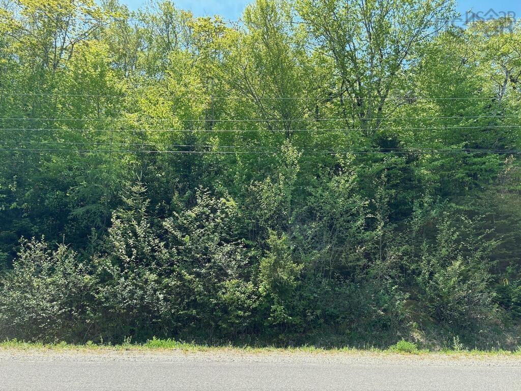 0 Bonnie Road, St. Martin, NS