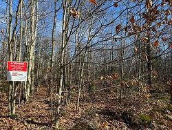 Mtée Mongeau Saint-Calixte, QC J0K 1Z0