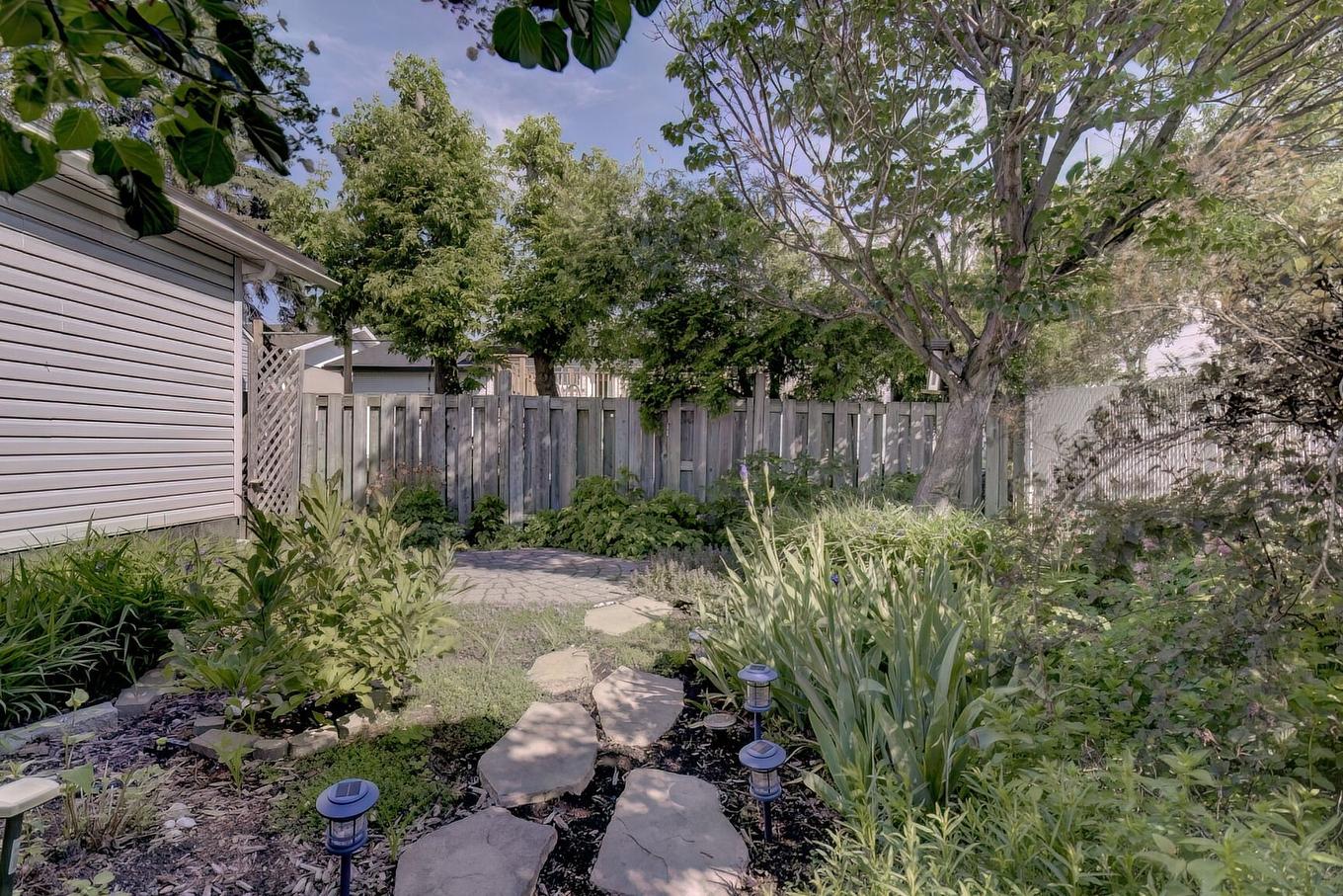 Backyard - 1479 Rue Albert, Longueuil (Saint-Hubert), QC - Outdoor