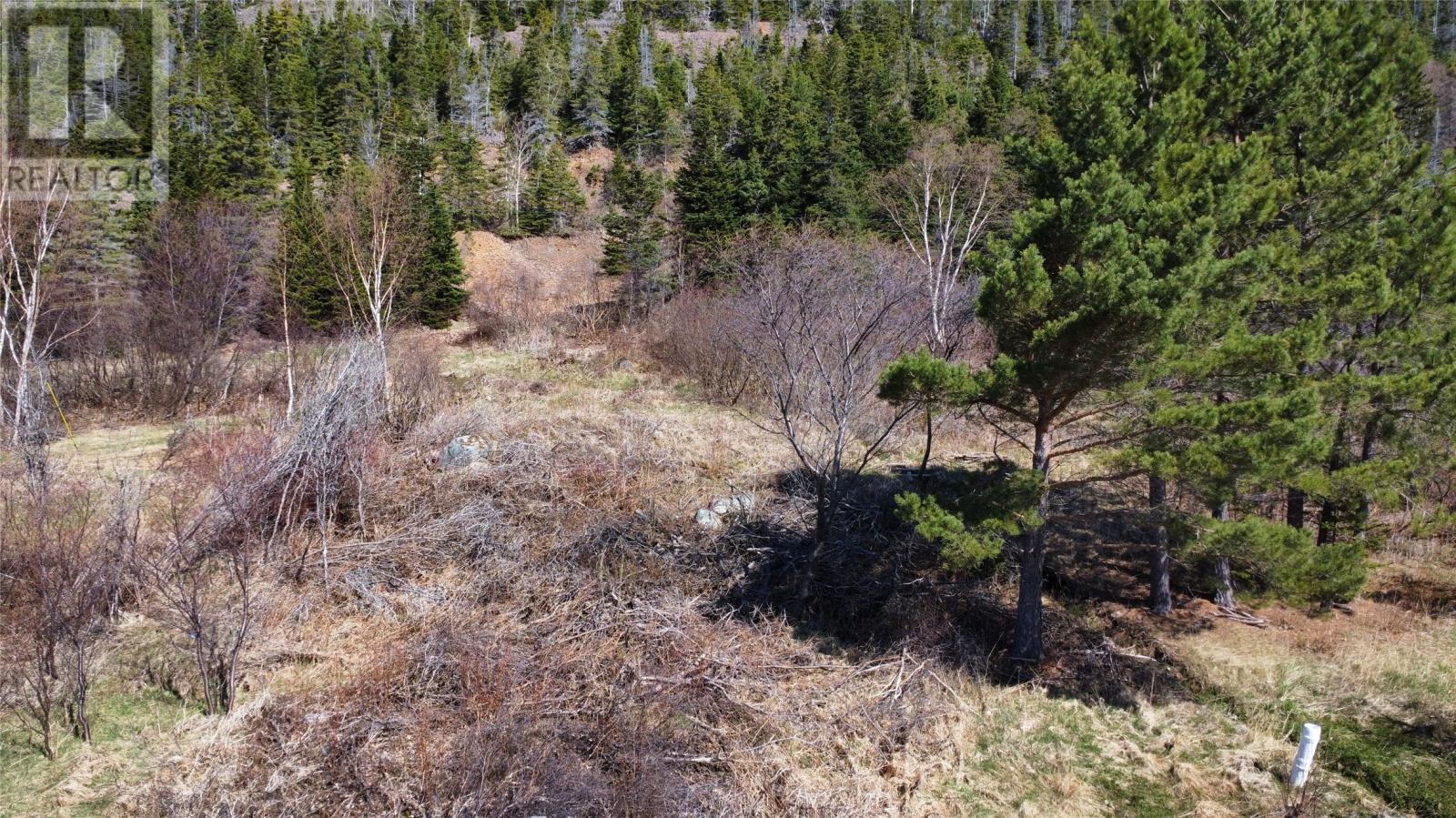 0 Main Street, Rattling Brook, NL