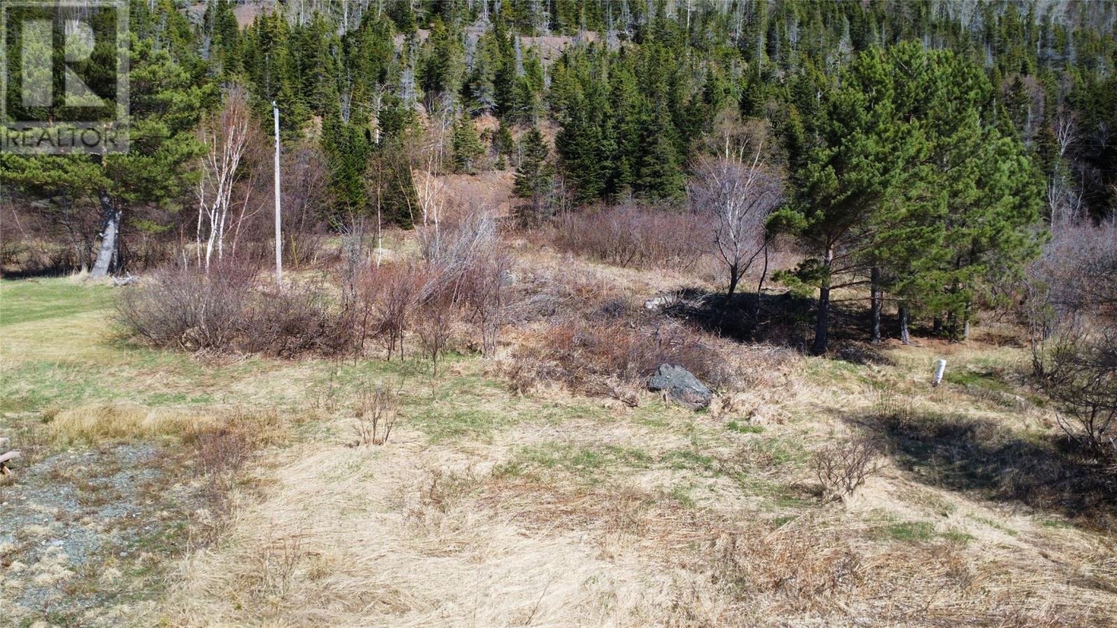 0 Main Street, Rattling Brook, NL