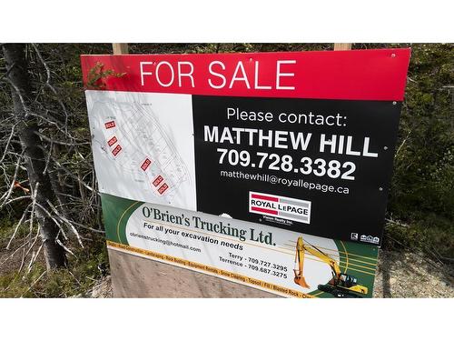 11 Horse Chops Road, Cape Broyle, NL