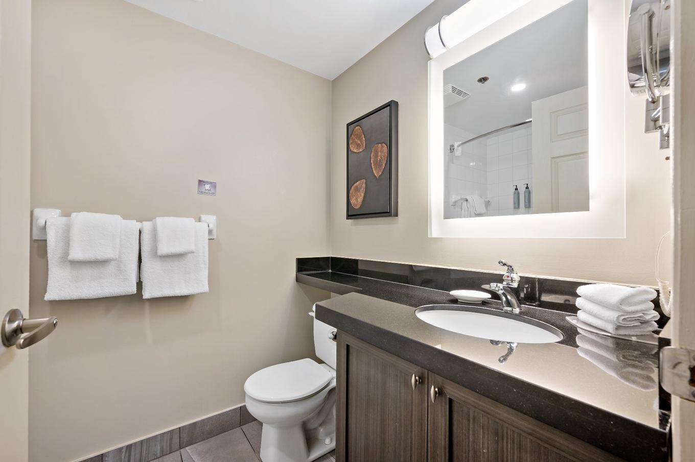 Salle de bains - 331-170 Ch. Du Curé-Deslauriers, Mont-Tremblant, QC - Indoor Photo Showing Bathroom