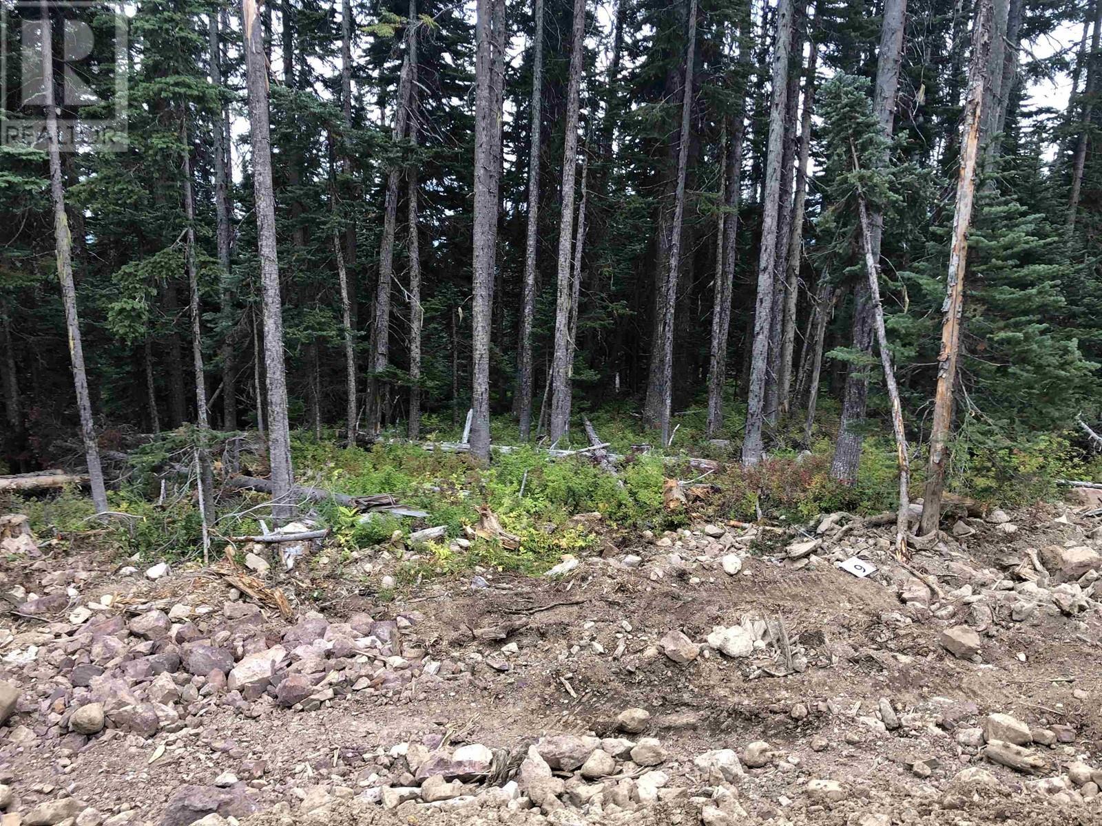 Pst Lot-9 Alpine Way, Smithers, BC