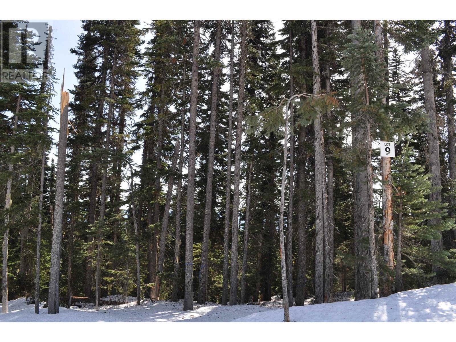 Pst Lot-9 Alpine Way, Smithers, BC