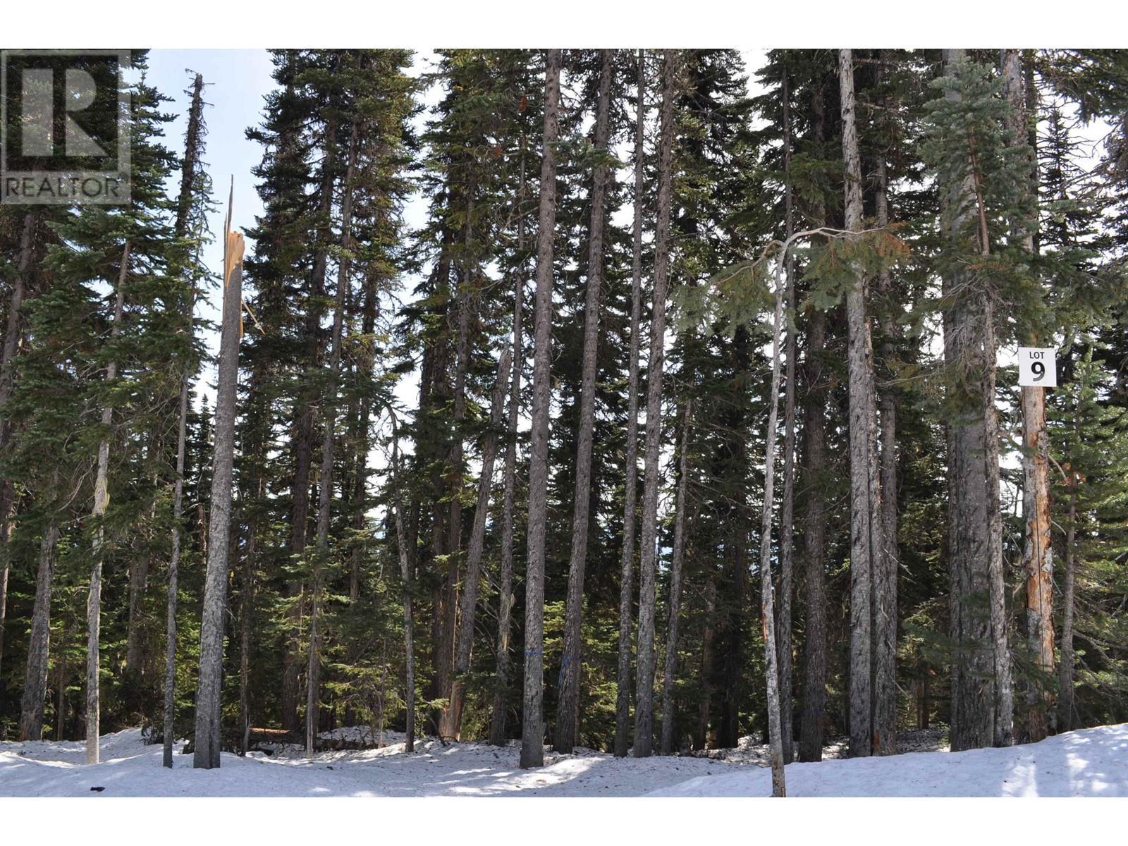 Pst Lot-9 Alpine Way, Smithers, BC