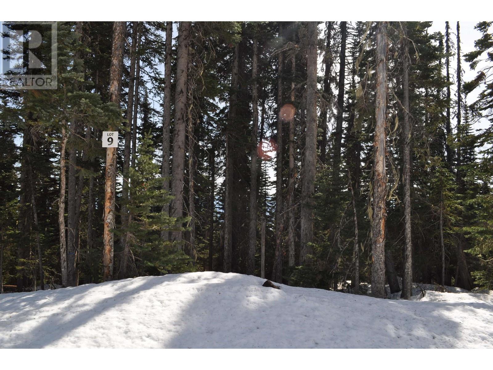 Pst Lot-9 Alpine Way, Smithers, BC