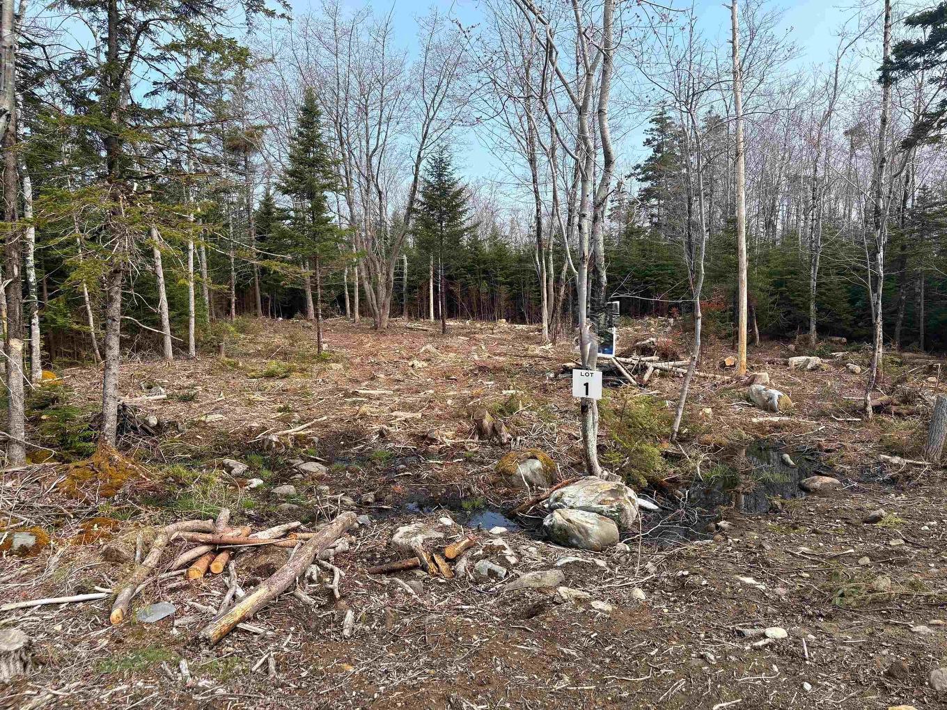 Lot 1 Larry Seldon Lane, Western Head, NS