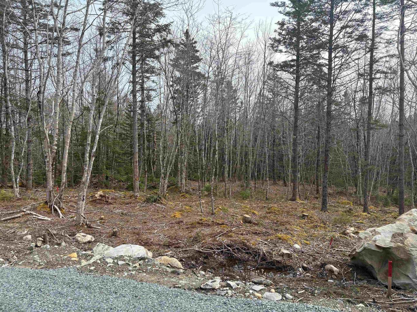 Lot 4 Larry Seldon Lane, Western Head, NS