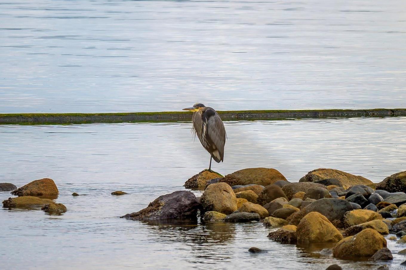 5642 Island Hwy South, Union Bay, BC