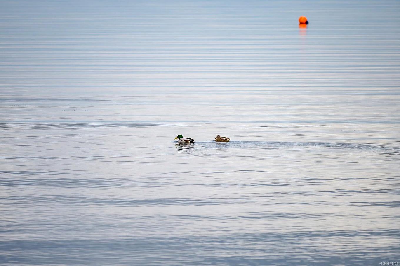 5642 Island Hwy South, Union Bay, BC