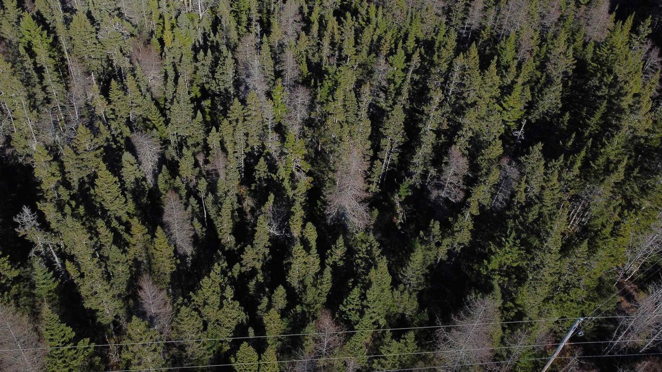 Lot 9B Lakefront Drive, Loch Lomond West, NS