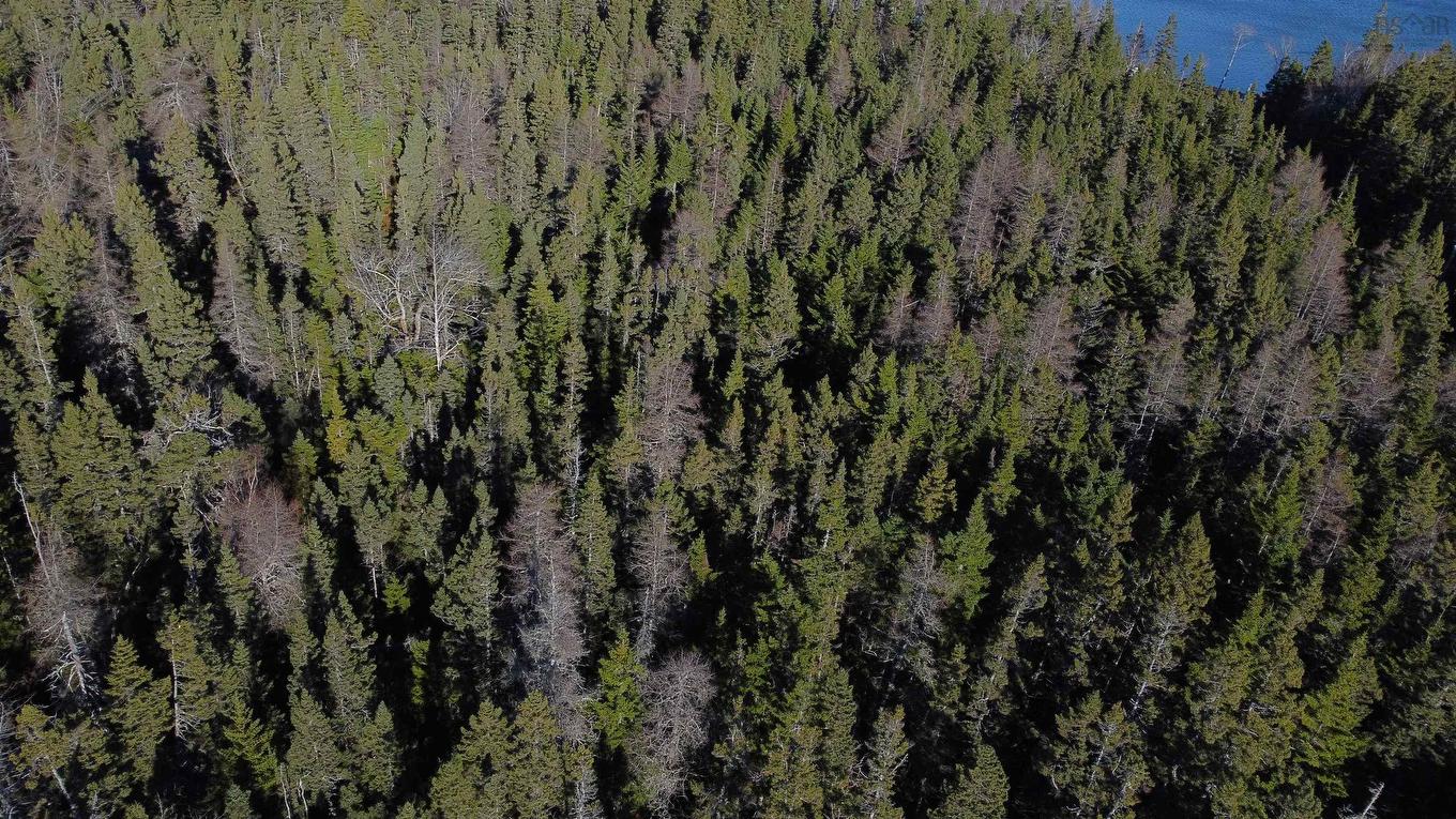 Lot 9B Lakefront Drive, Loch Lomond West, NS