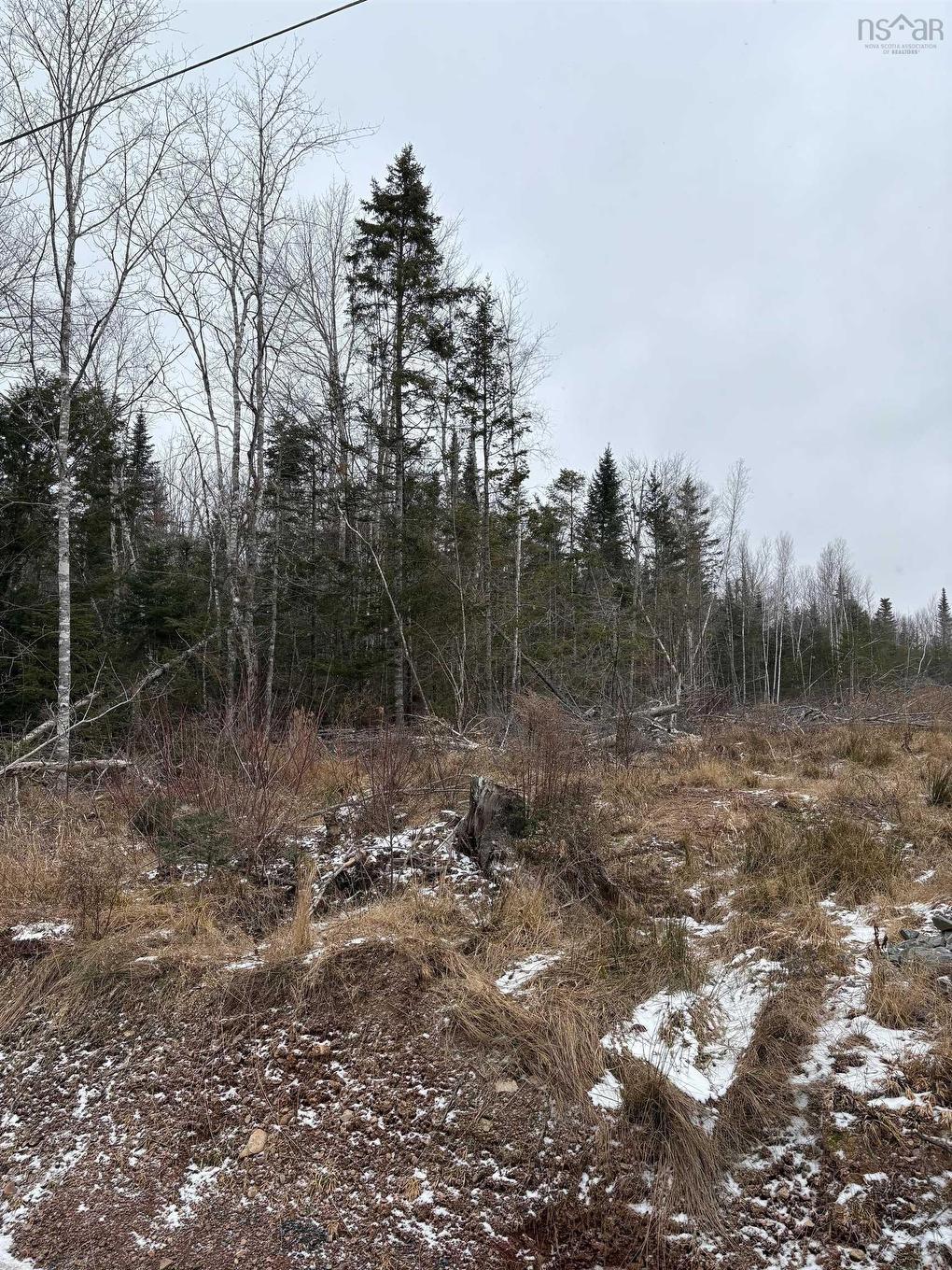Mosher Road, Rhines Creek, NS