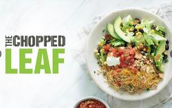 1 601 18th Street Brandon, MB R7A 5B3