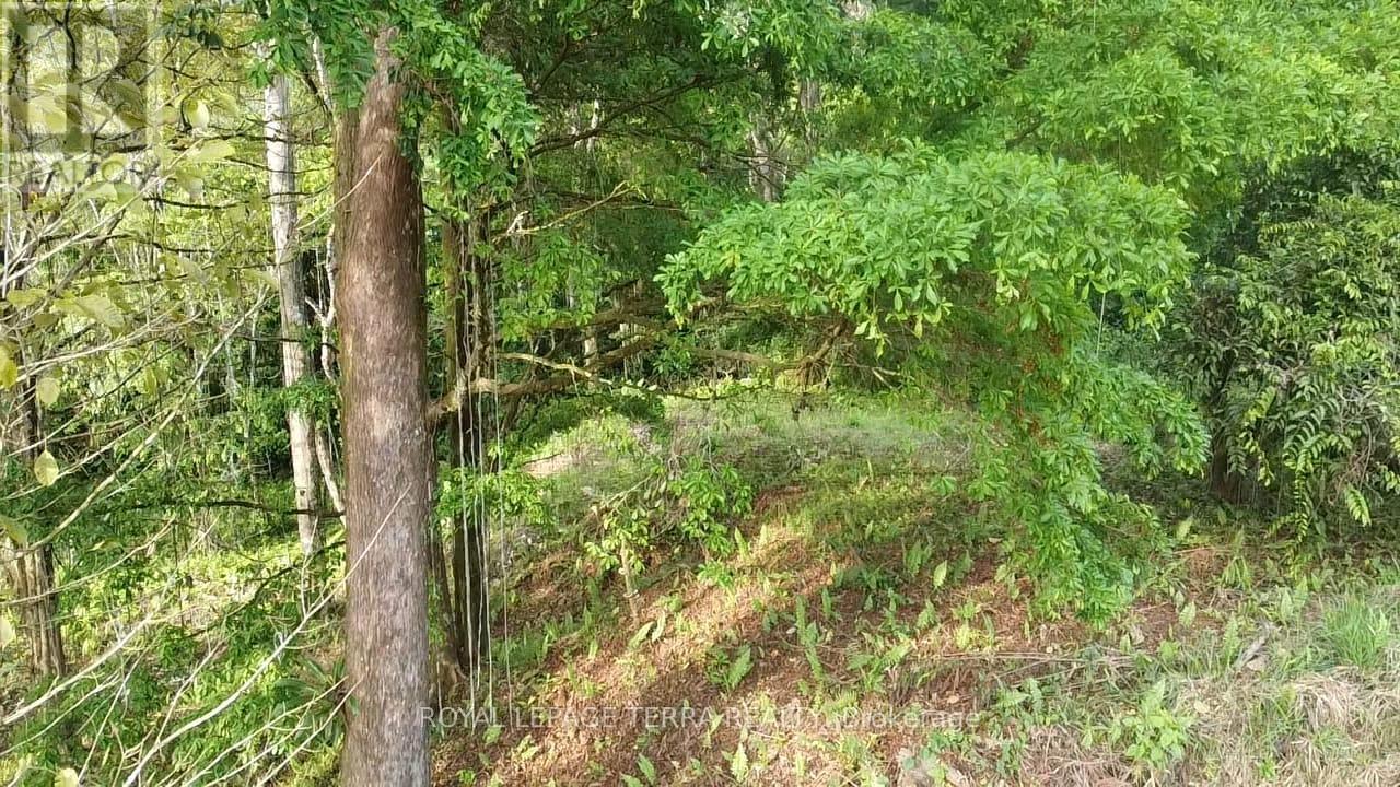 Lot8-65 Cinco Ventanas Road E, Costa Rica, ON