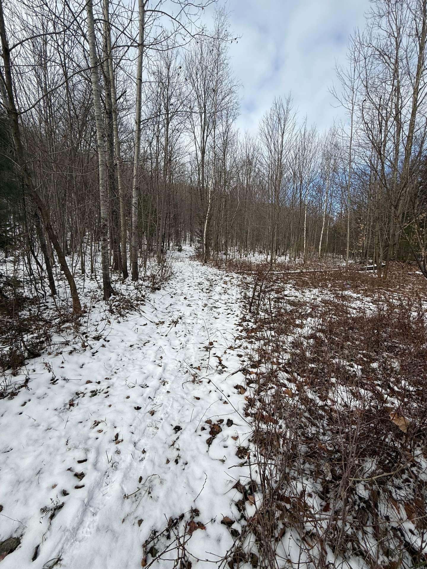 To be built - Rue Labrecque, Saint-Calixte, QC