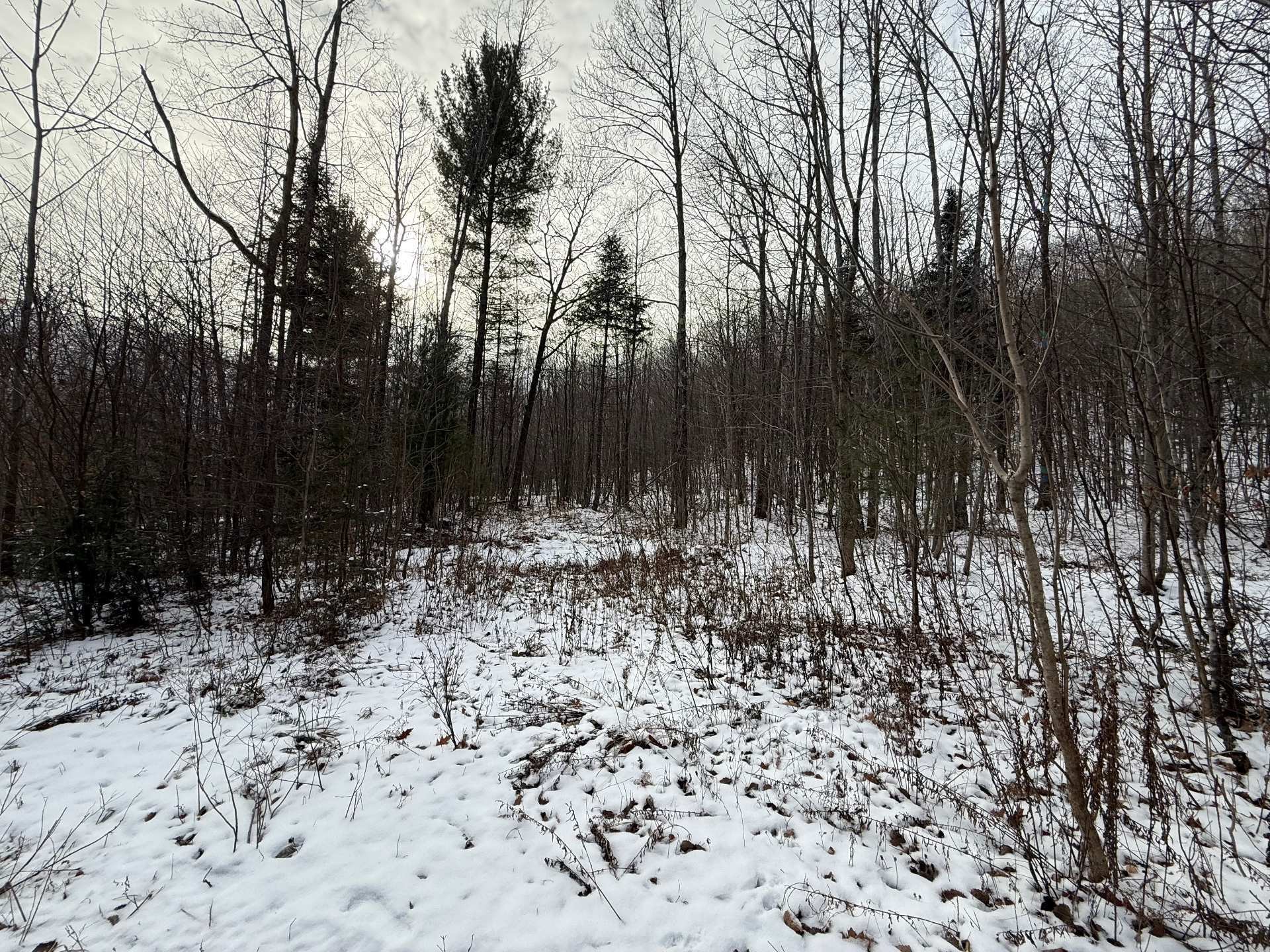 To be built - Rue Labrecque, Saint-Calixte, QC