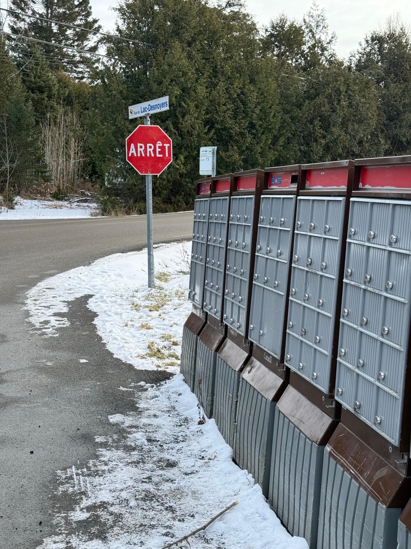 Nearby - Rue Labrecque, Saint-Calixte, QC