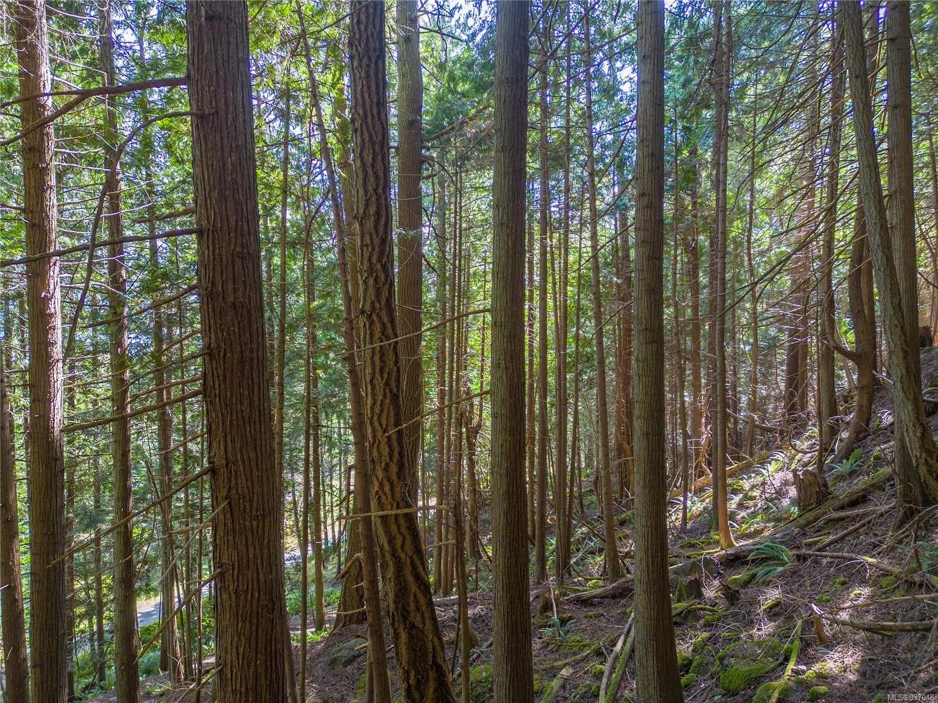 Lot A Boundary Pass Dr, Pender Island, BC