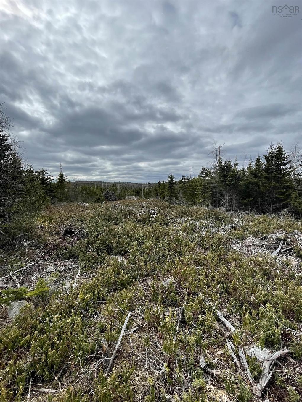 143 19 Lipkudamoonk Path, Clam Bay, NS