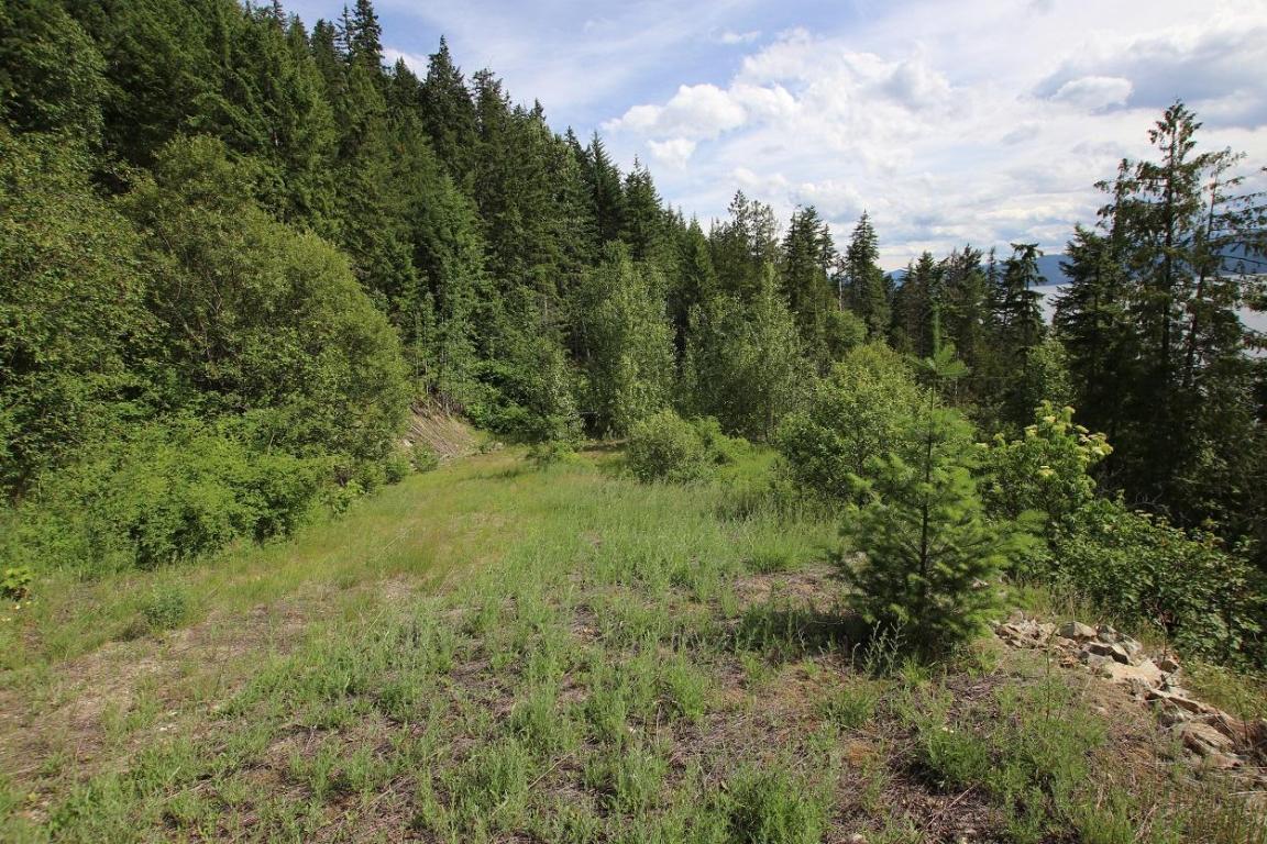 5959 Highway 23, Nakusp, BC - Outdoor With View