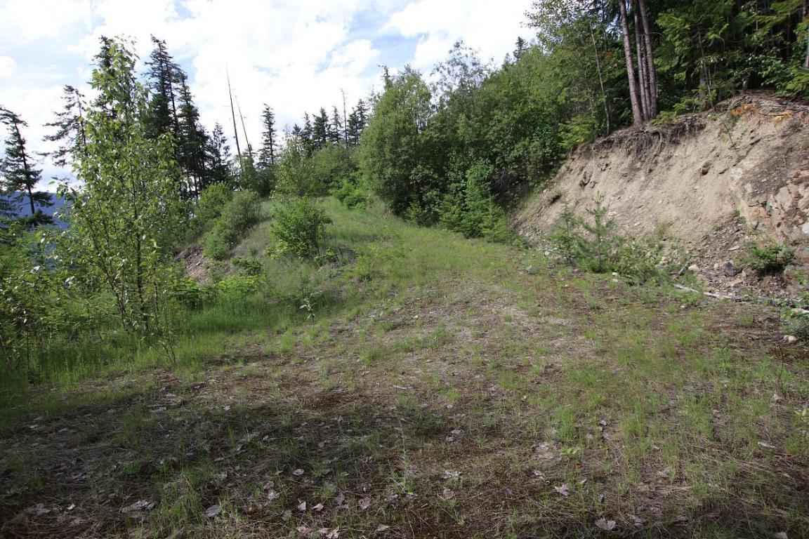 5959 Highway 23, Nakusp, BC - Outdoor With View