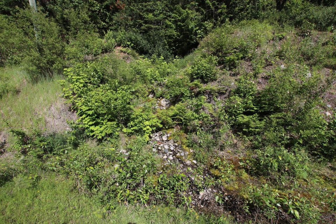 5959 Highway 23, Nakusp, BC - Outdoor