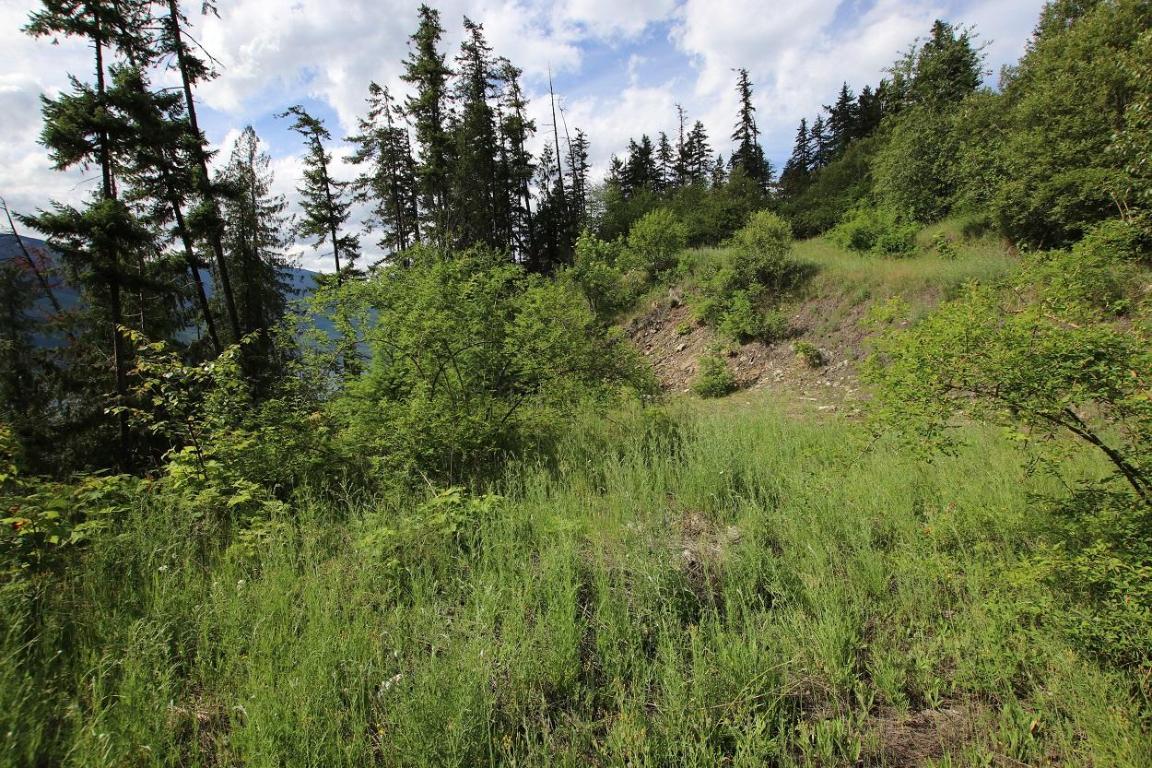 5959 Highway 23, Nakusp, BC - Outdoor With View