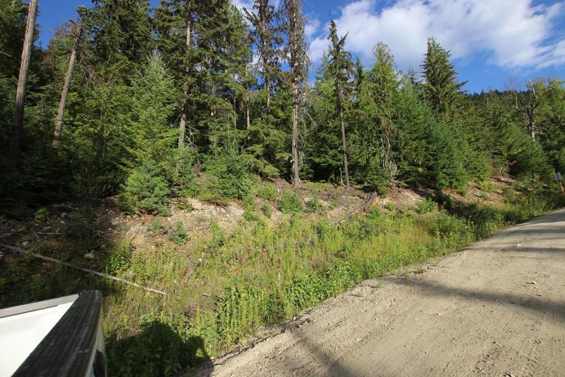 5621 Highway 23, Nakusp, BC