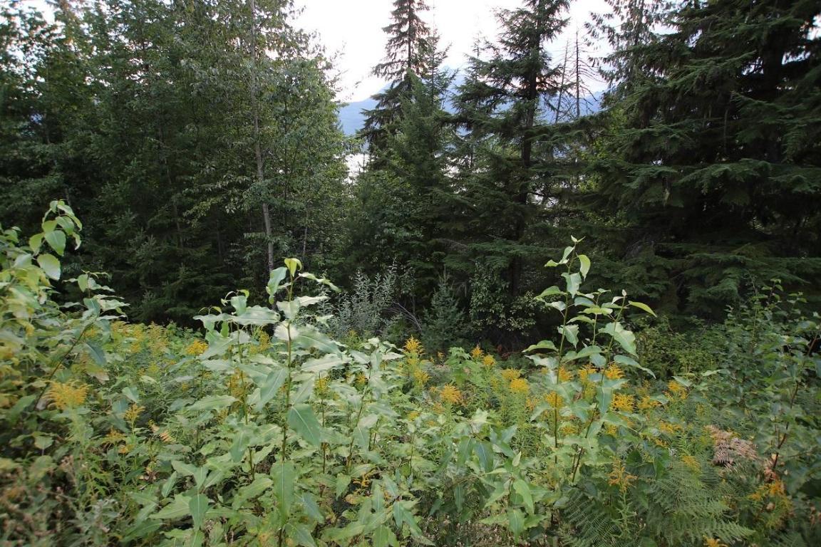 5621 Highway 23, Nakusp, BC