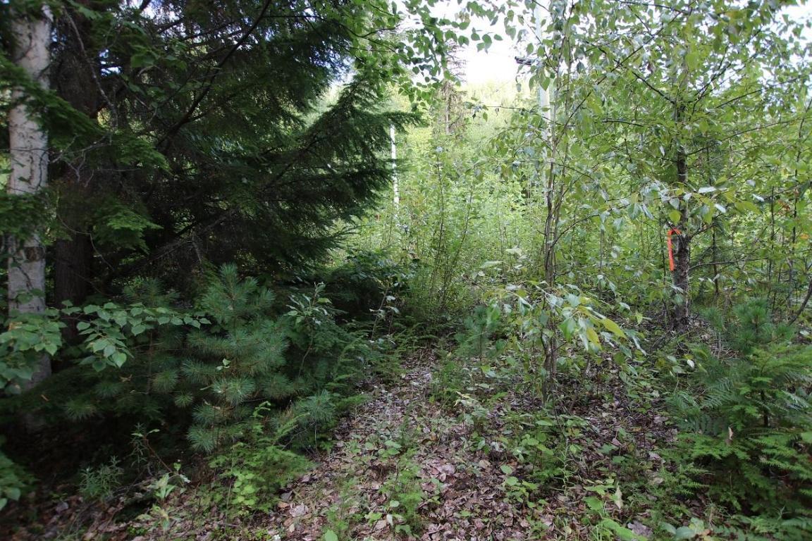 5621 Highway 23, Nakusp, BC