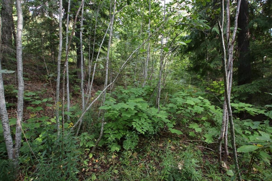 5621 Highway 23, Nakusp, BC