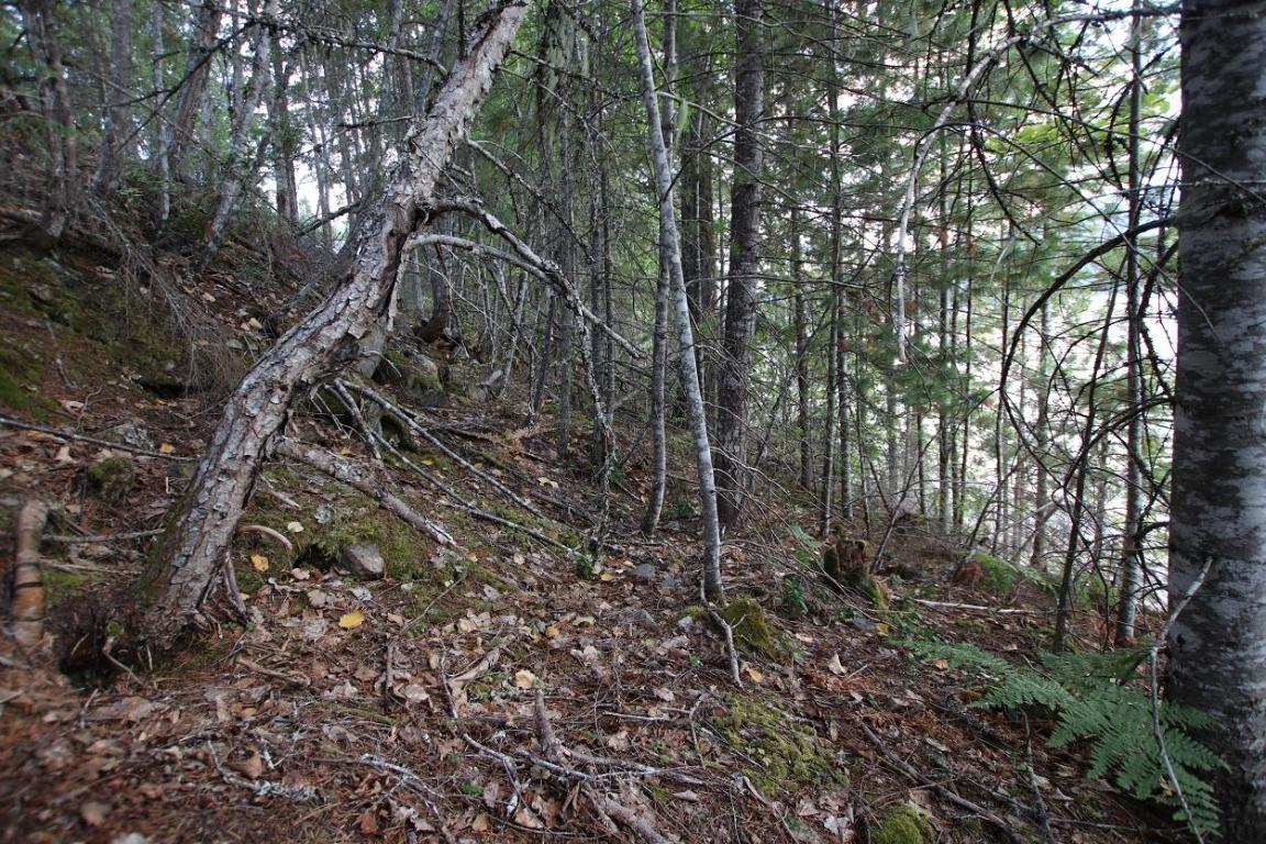 5621 Highway 23, Nakusp, BC