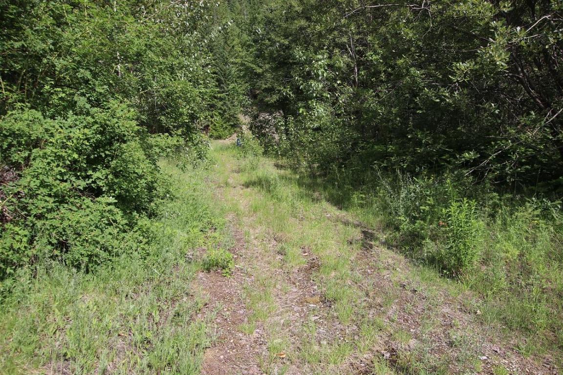 Lot B Highway 23, Nakusp, BC - Outdoor