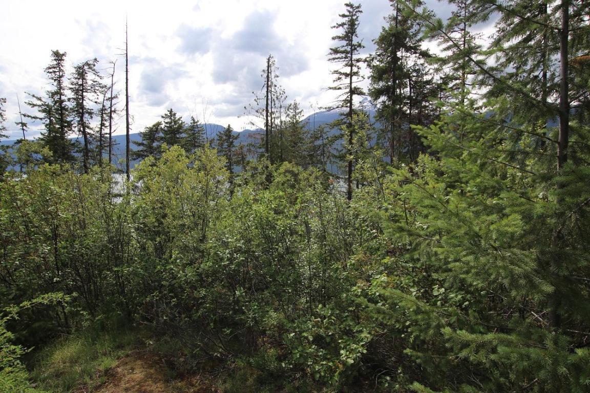Lot B Highway 23, Nakusp, BC - Outdoor With View