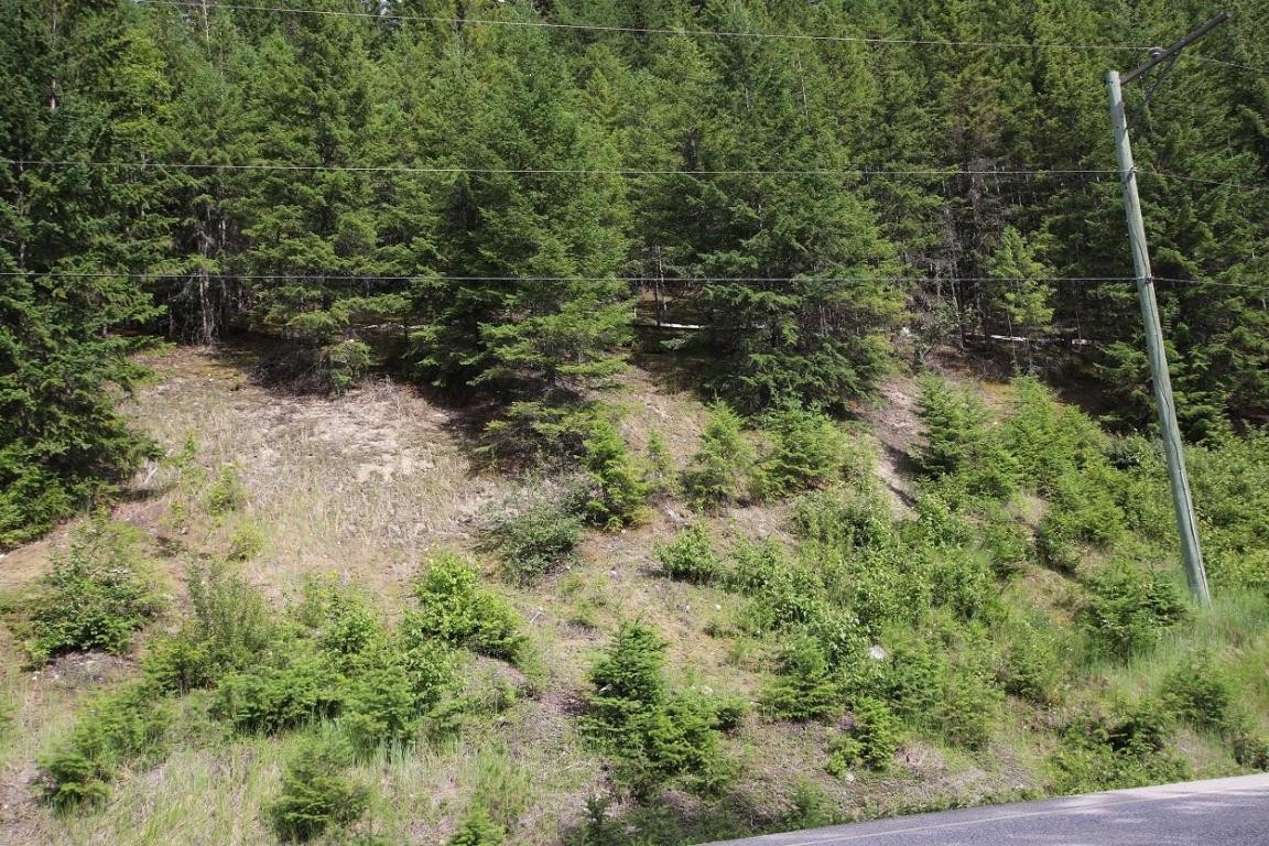 Lot B Highway 23, Nakusp, BC - Outdoor