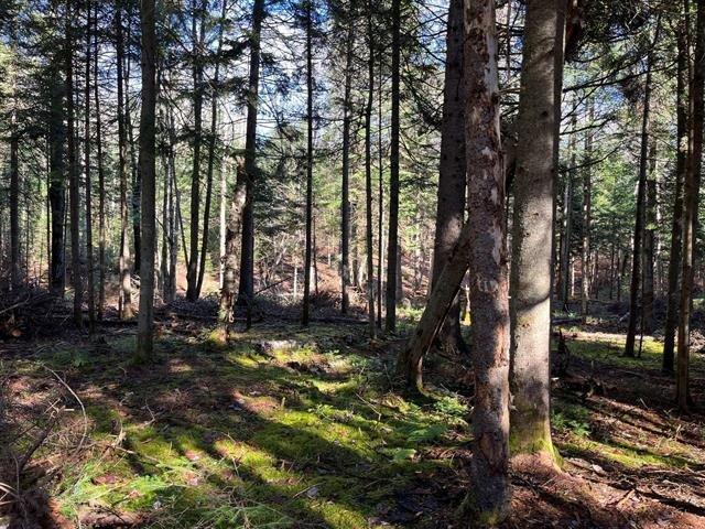 Land/Lot - Ch. Paquin, Val-David, QC