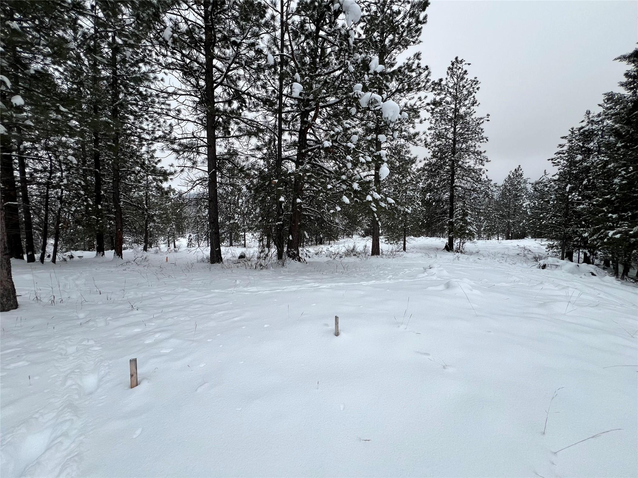 236 Corral Boulevard, Cranbrook, BC - Outdoor With View