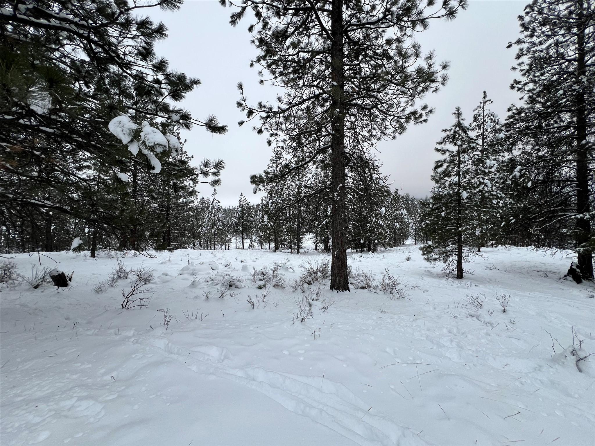 236 Corral Boulevard, Cranbrook, BC - Outdoor With View