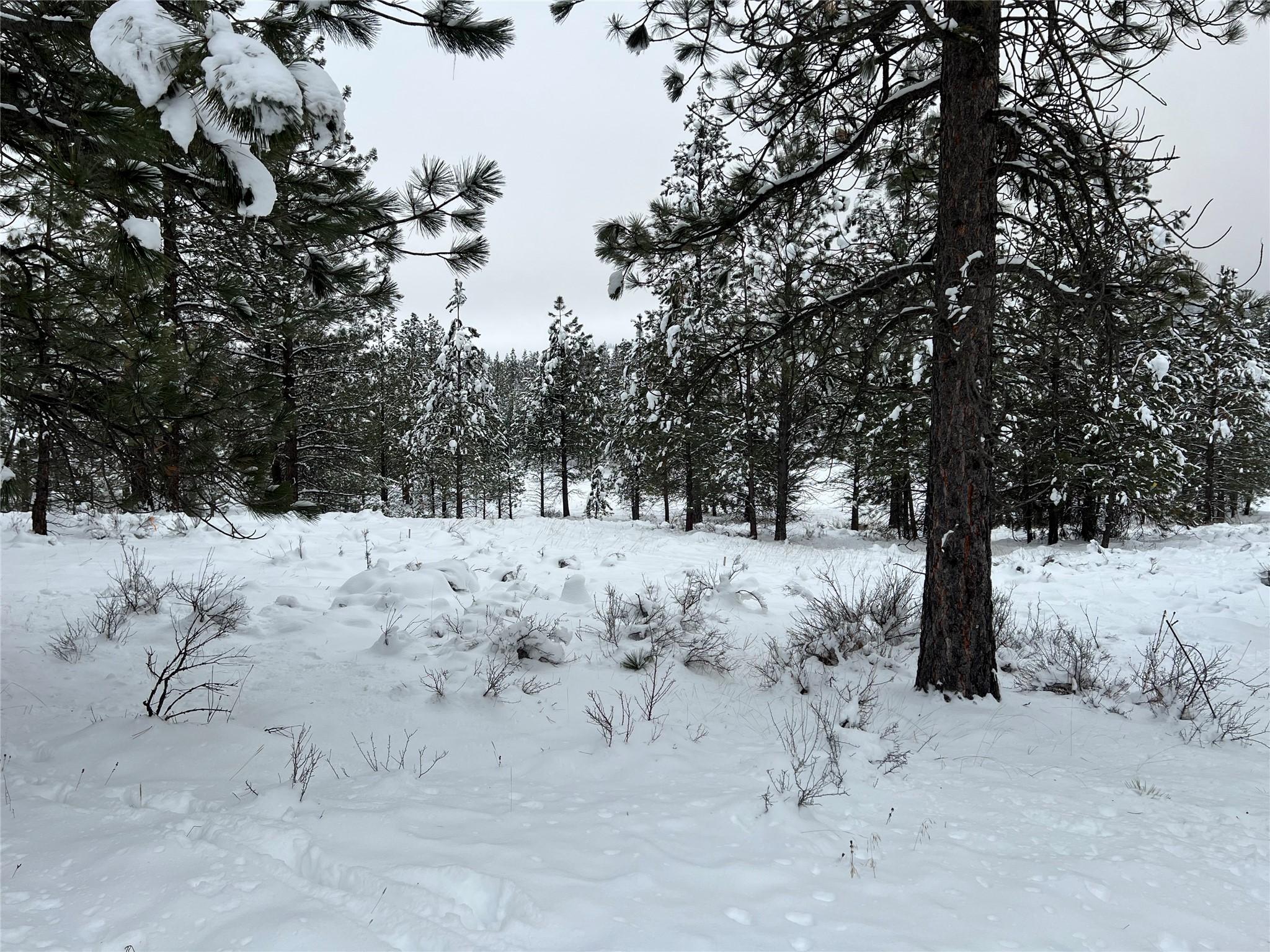 236 Corral Boulevard, Cranbrook, BC - Outdoor With View
