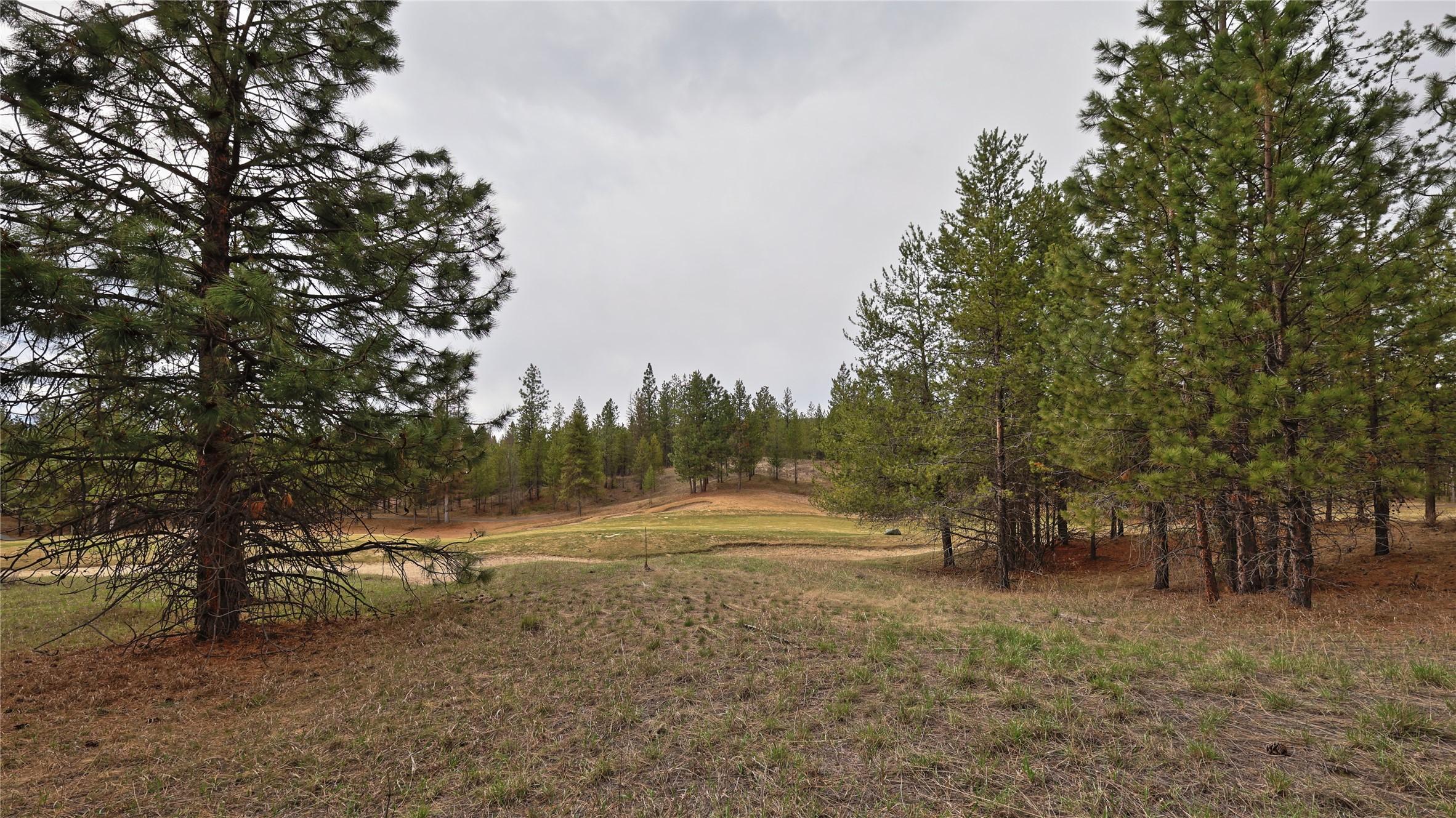 236 Corral Boulevard, Cranbrook, BC - Outdoor With View