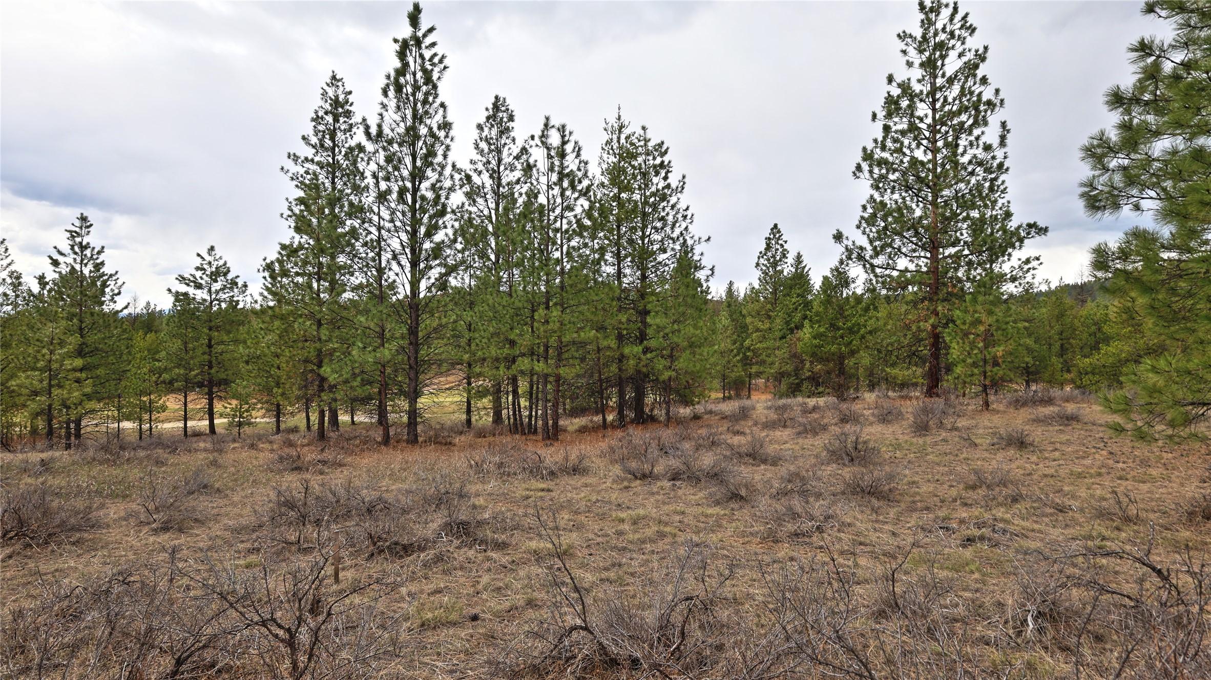 236 Corral Boulevard, Cranbrook, BC - Outdoor With View