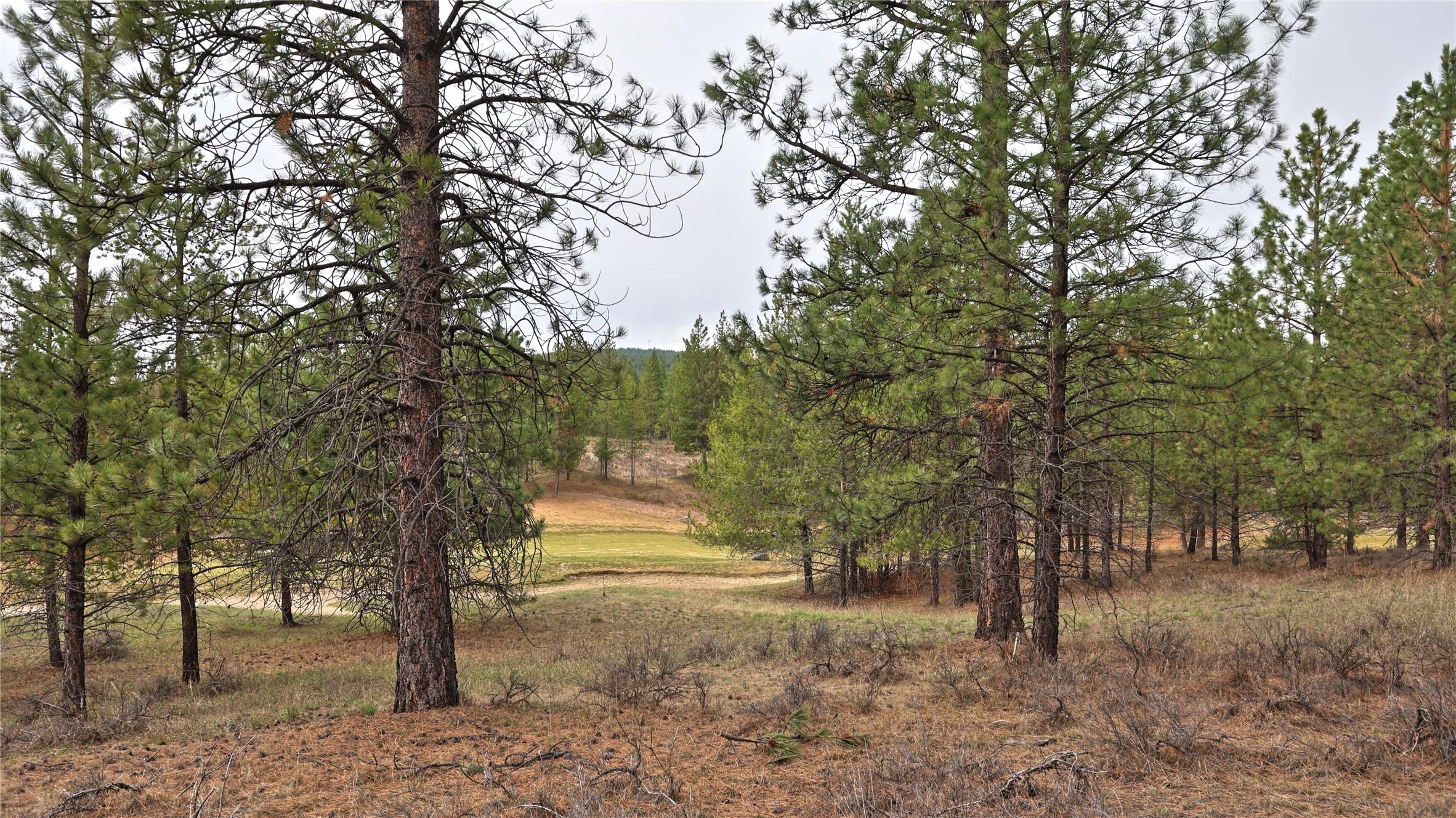 236 Corral Boulevard, Cranbrook, BC - Outdoor With View