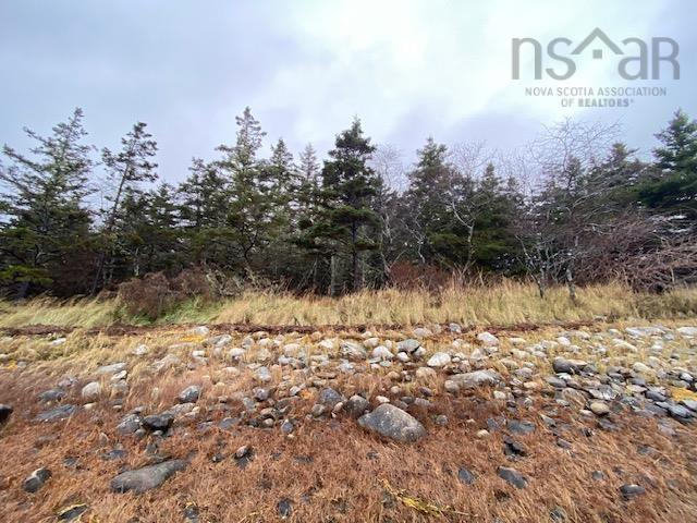 Lot N-1 Port Latour Road, Reynoldscroft, NS