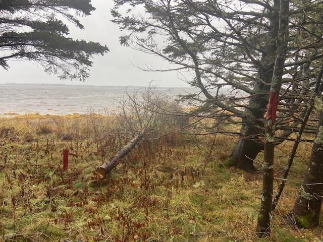 Lot N-1 Port Latour Road, Reynoldscroft, NS